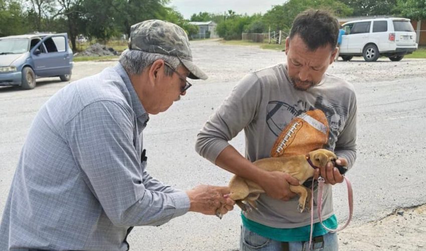 Realiza SST campaña preventiva para la detección de rickettsiosis.