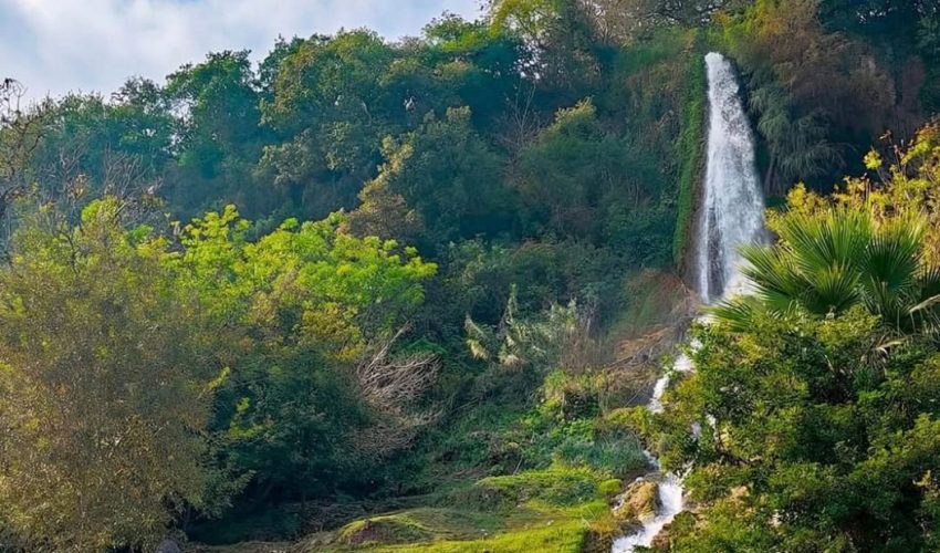 Crecerá afluencia y derrama con la Virgen de la Misericordia en Hidalgo.