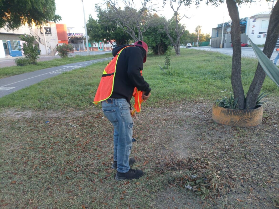 Realiza Municipio de Reynosa limpieza matutina de la vía pública