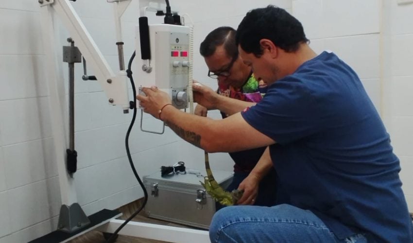 Valía Energía y Gobierno de Tamaulipas fortalecen la atención al jaguar: CPBT.