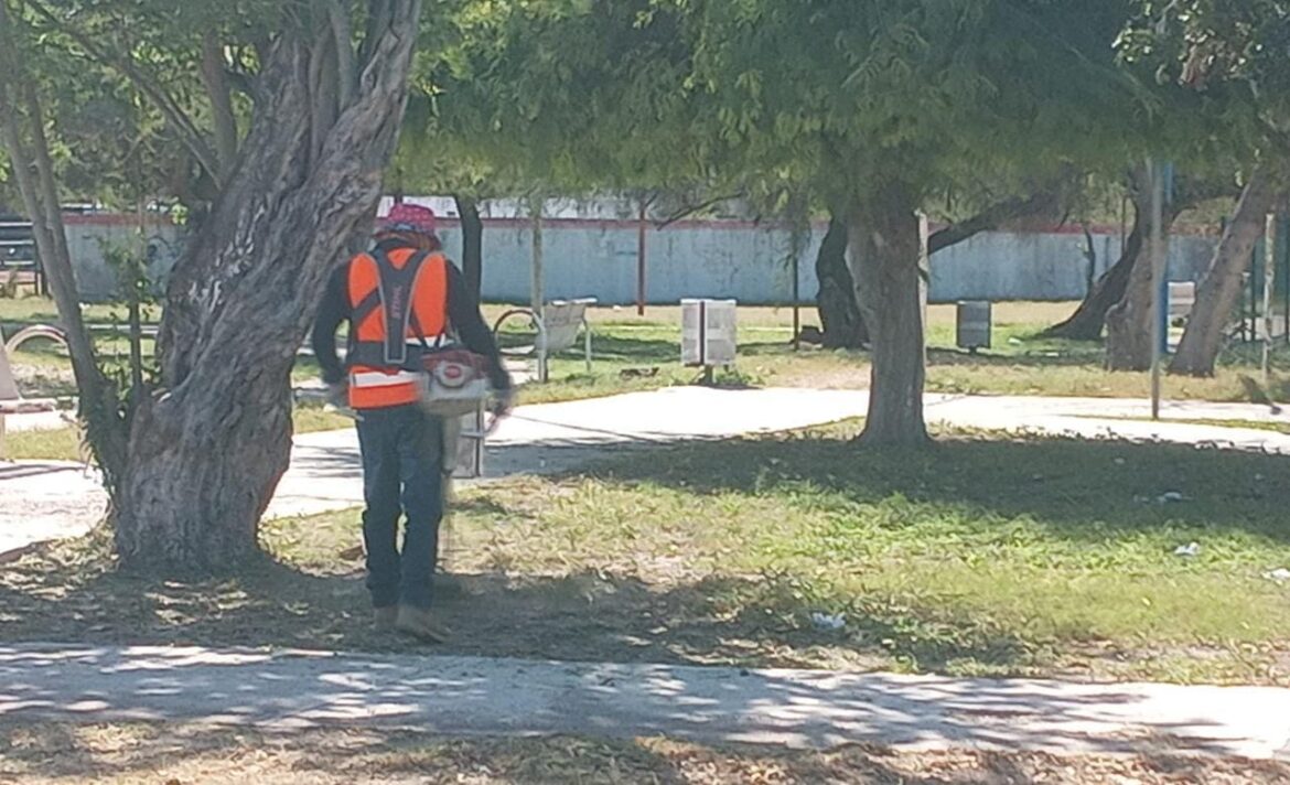 Procura Municipio plazas limpias para las familias reynosenses