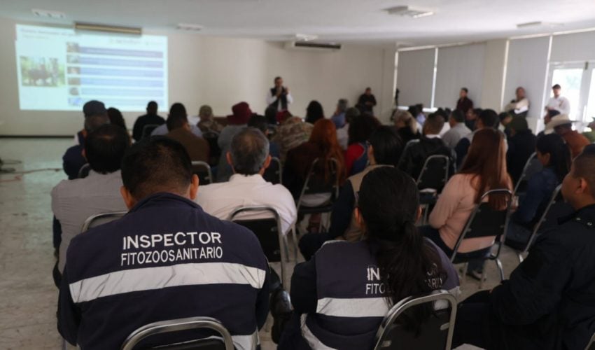 Capacitación permanente, clave para prevenir el GBG en Tamaulipas.