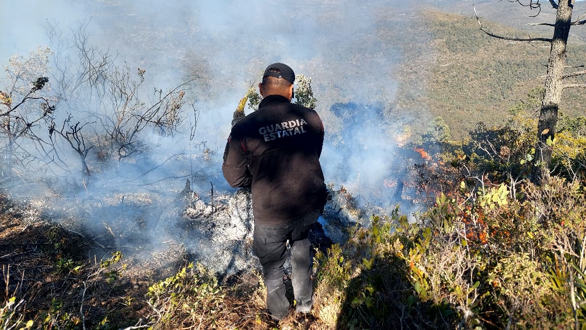 Guardia Estatal y Protección Civil coordinan combate de incendio forestal en Miquihuana.