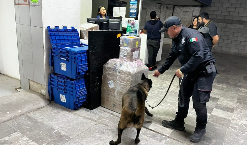 Realiza Agrupamiento Canino de la Guardia Estatal operativo para detectar narcóticos en Central de Autobuses.